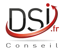 DSI . fr recrutement de dsi